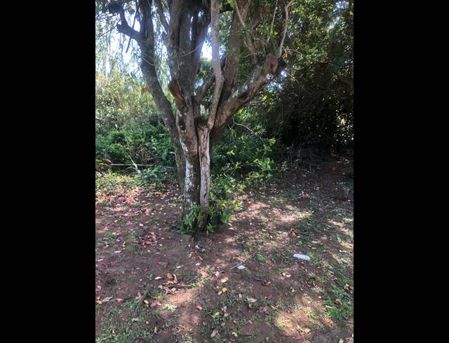 3,335M² VACANT LAND FOR SALE IN UMGENI PARK
